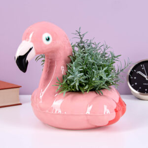 Flamingo zwemband potje