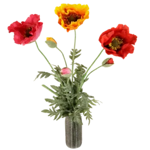 Klaprozen XXL H 80 - 120 cm