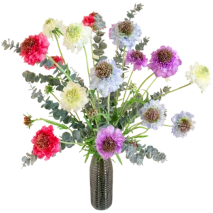 Scabiosa mixed boeket