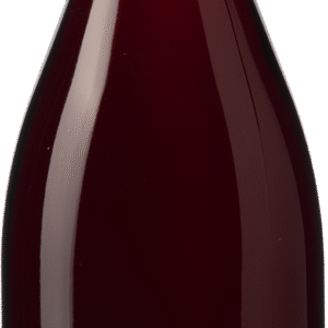 Karl Pfaffmann Spätburgunder