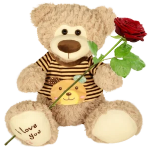 Knuffelbeer large met shirt ca. 45 cm