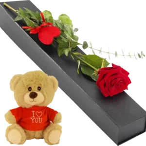 Luxe geschenkdoos met rode roos + knuffelbeertje