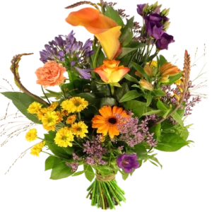 Plukboeket Maritha paars - oranje