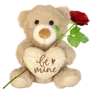 Knuffelbeertje Be Mine ca. 23 cm met be mine hart