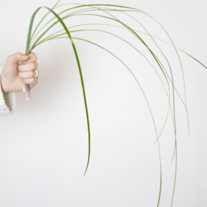 Voeg beregras toe aan je boeket