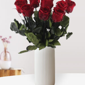 Bordeaux rode long life rozen - Kies je aantal van 5 t/m 20