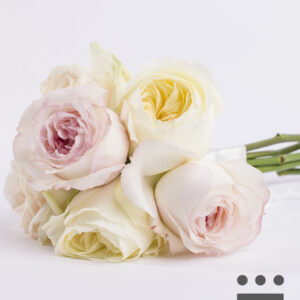 Bruidsmeisje boeket pastel - Platinum