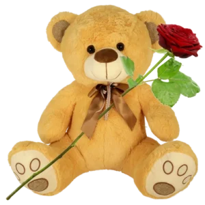 Bruine knuffelbeer XL ca. 60 cm