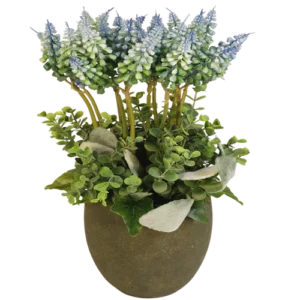 Blauwe druiven in pot H 30cm x B 17cm