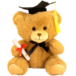 Geslaagd knuffelbeer met afstudeerhoed