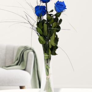 Drie blauwe long life rozen inclusief vaasje