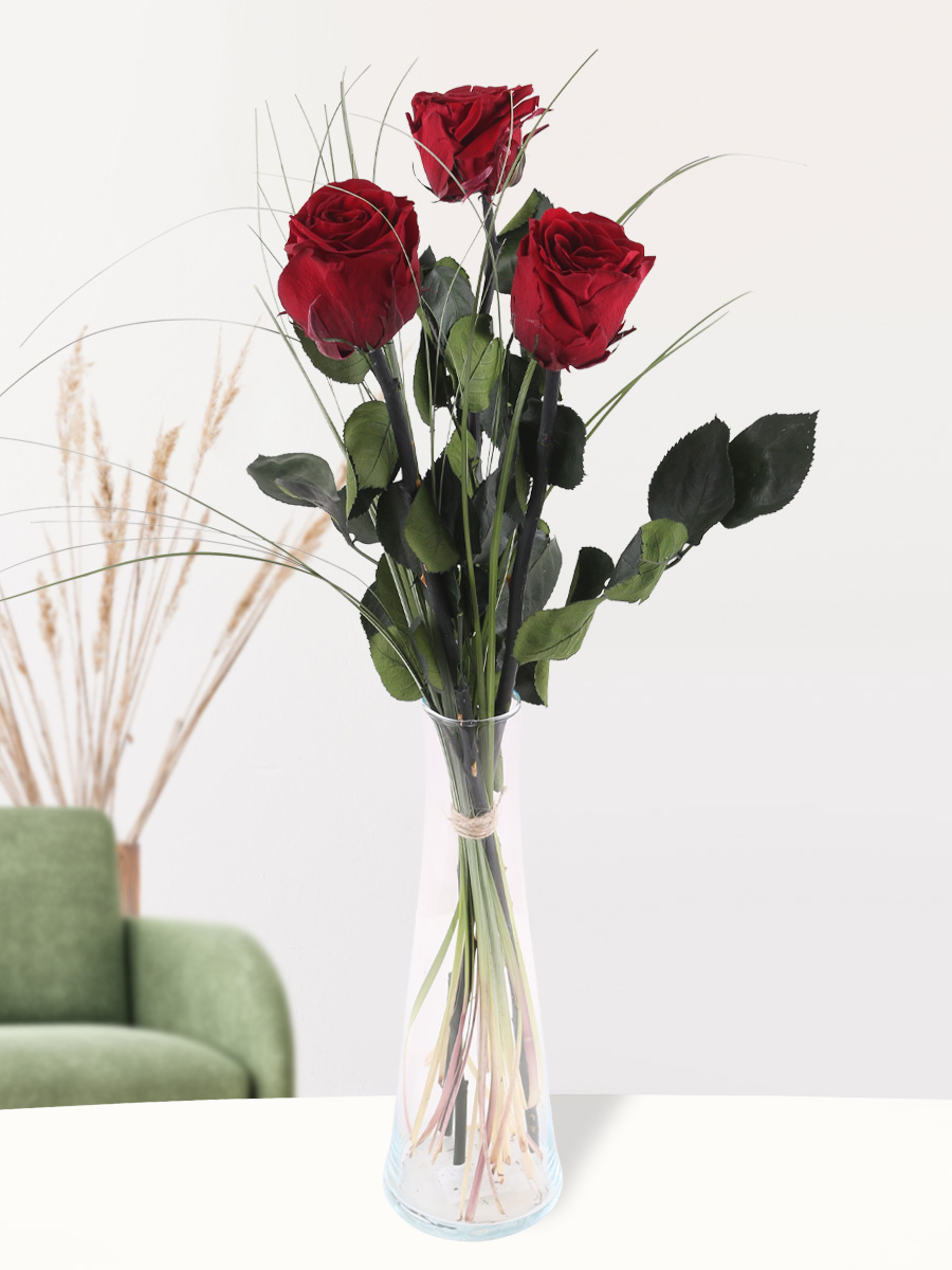 Drie bordeaux rode long life rozen inclusief vaasje 1 Drie bordeaux rode long life rozen inclusief vaasje