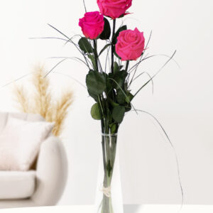 Drie roze long life rozen inclusief vaasje