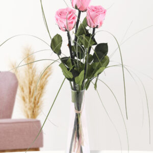 Drie zachtroze long life rozen inclusief vaasje