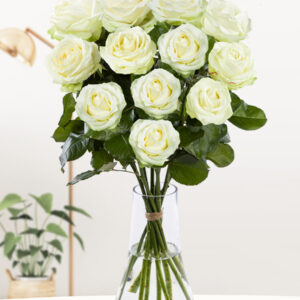 Een dozijn witte rozen - XL rozen - Avalanche