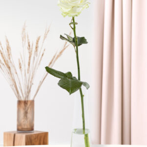 Enkele premium witte roos, inclusief vaasje