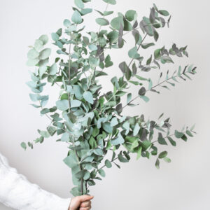 Voeg eucalyptus toe aan je boeket