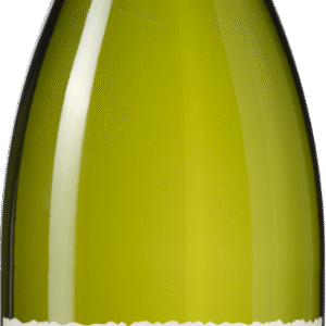 (Organic) Domaine Grand Veneur &apos;Les Champauvins&apos; Côtes-du-Rhône Blanc