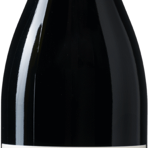 Willow Bridge Dragon Fly Estate Shiraz