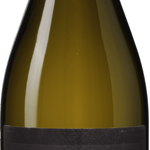 Antica Viti Pinot Grigio delle Venezie