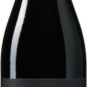 Antica Viti Amarone della Valpolicella