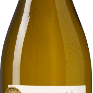 Corte Tessini Fiano Leggermente Appassite