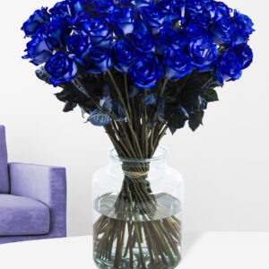 Blauwe rozen - XL rozen - 10 t/m 49 rozen