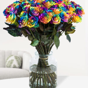 Regenboog rozen - XL rozen - 10 t/m 49 rozen