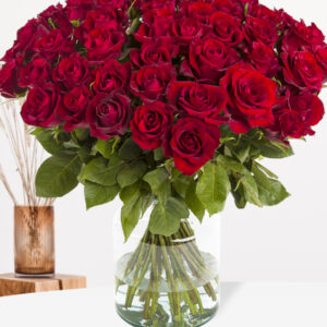 Rode rozen - Kies je aantal (EverRed) - 10 t/m 99 rozen - Valentijnsdag