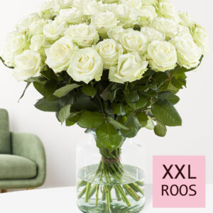 100 tot en met 499 XXL witte rozen