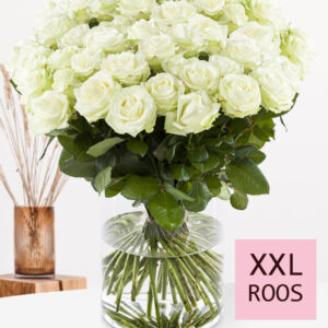 500 tot en met 1001 witte rozen - XXL rozen