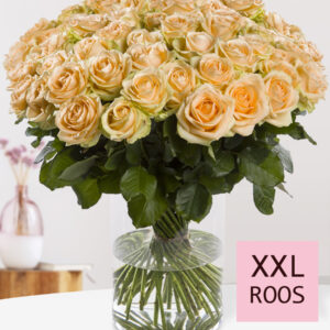 100 tot en met 499 XXL zalmkleurige rozen