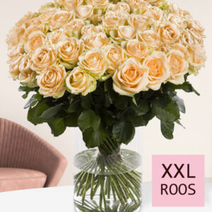 500 tot en met 1001 zalmkleurige XXL rozen