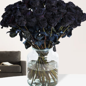 Zwarte rozen - XL rozen - 10 t/m 49 rozen