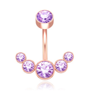 LGT JWLS Piercing in Anker vorm - Paars Kristal