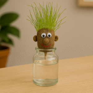 Meneer Gras Hoofd - Grass Head