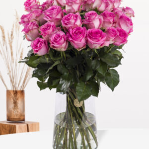 Roze rozen - 10 t/m 99 premium rozen - Revival