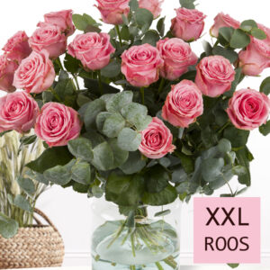 XL roze rozenboeket - Sophia Loren