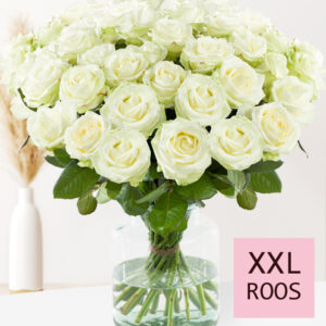 Witte rozen - XXL rozen - 10 t/m 99 rozen - Avalanche